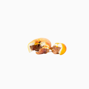 peche plate 1