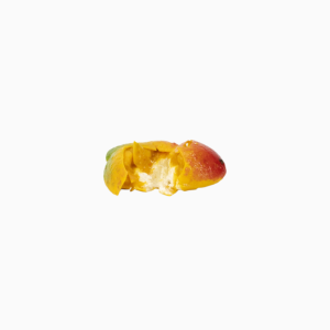 Mangue (3)