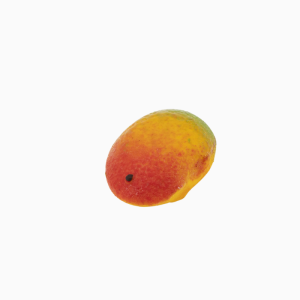 Mangue