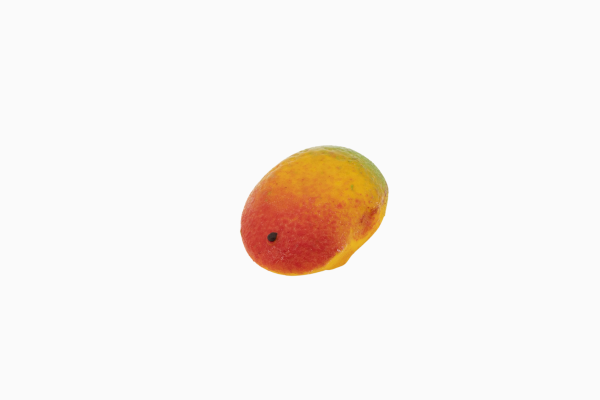 Mangue