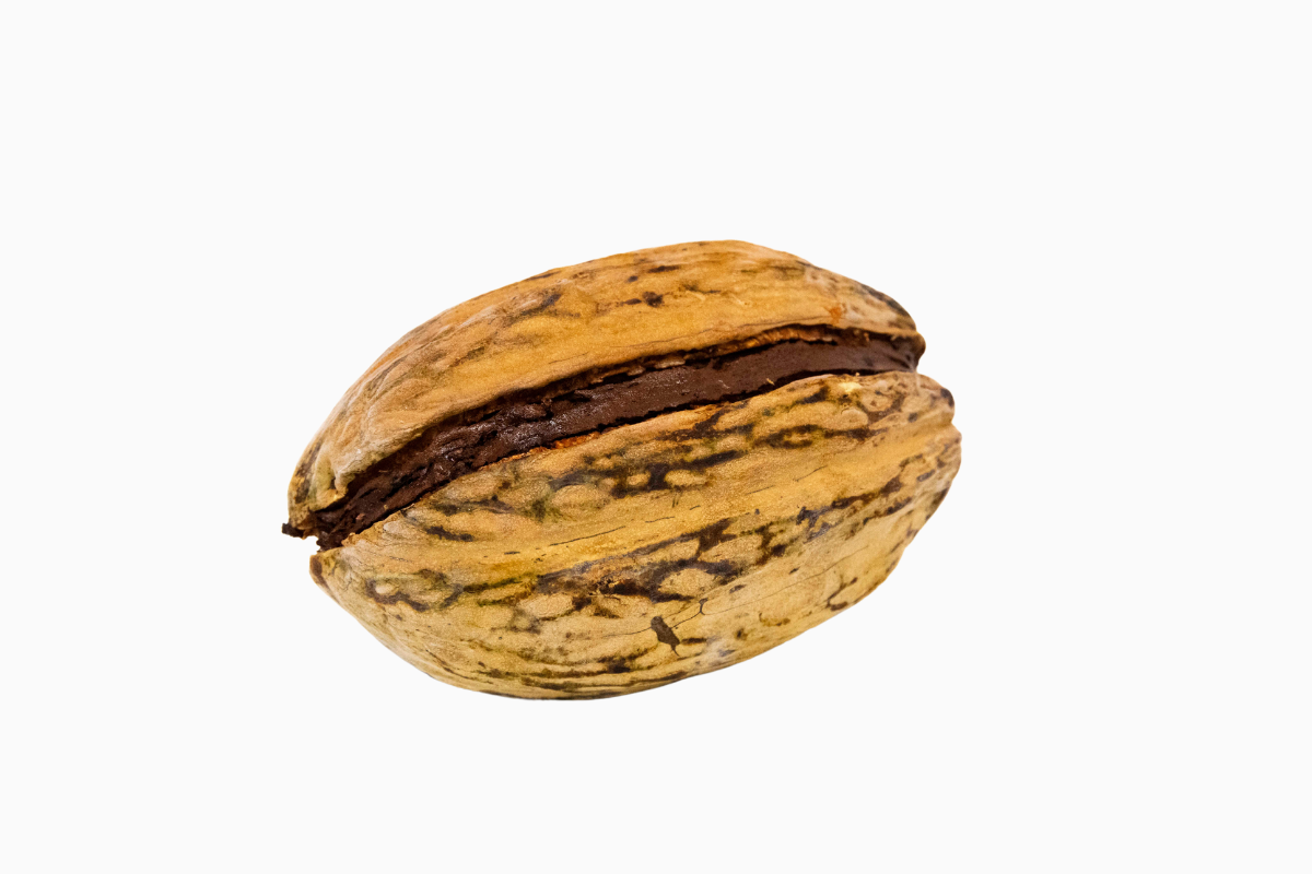 Gros Fruit Givré à partager : Cabosse