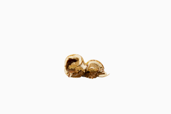 Noisette (2)